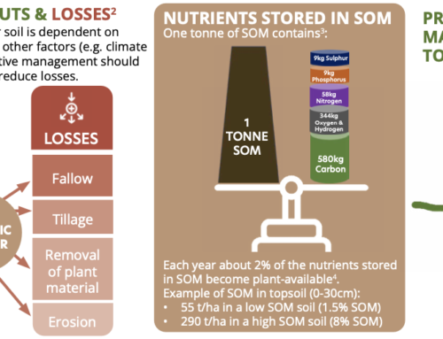 Soil organic matter: Rules of thumb